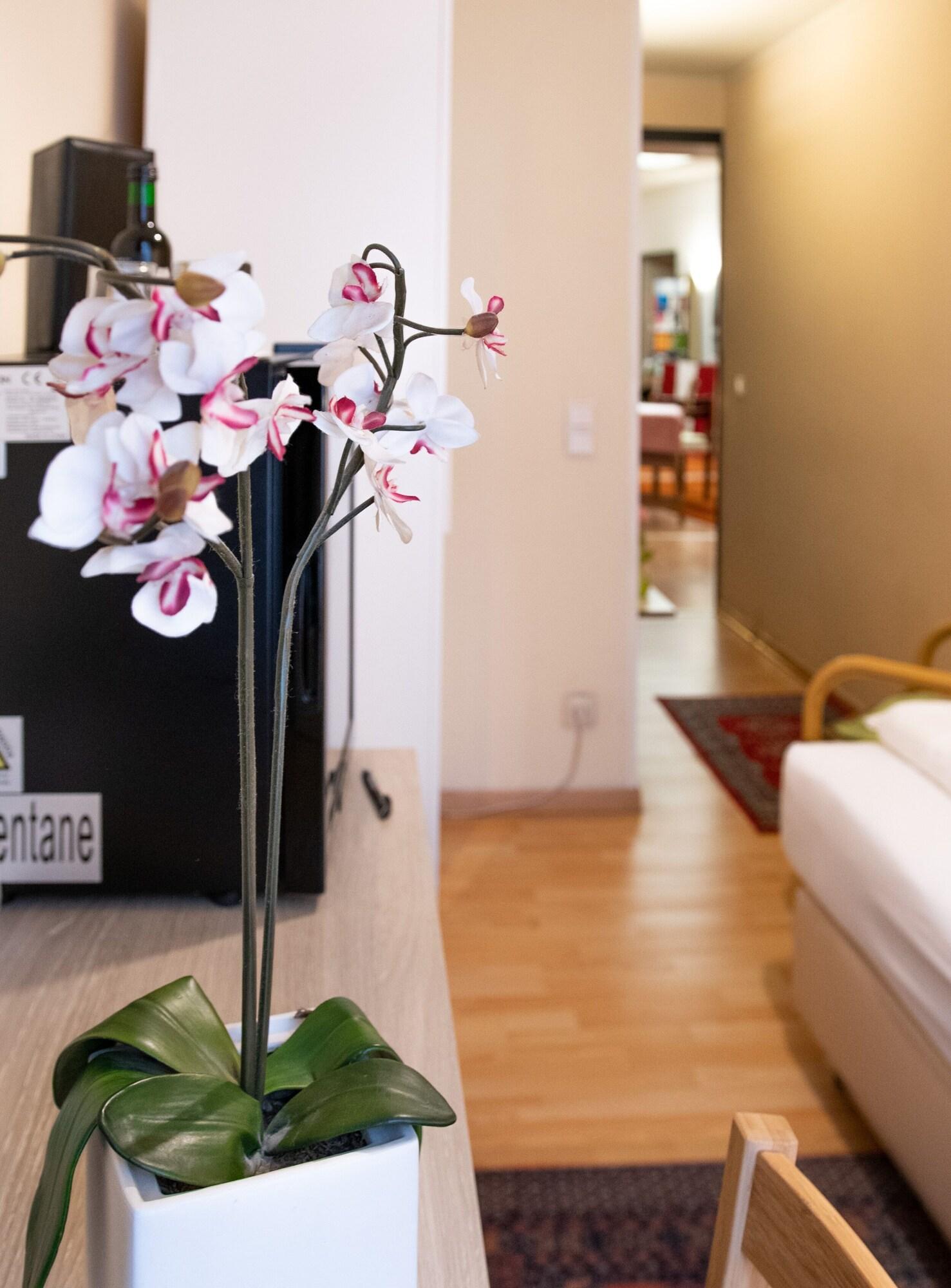 Pension Hotel Mariahilf Wien Ngoại thất bức ảnh